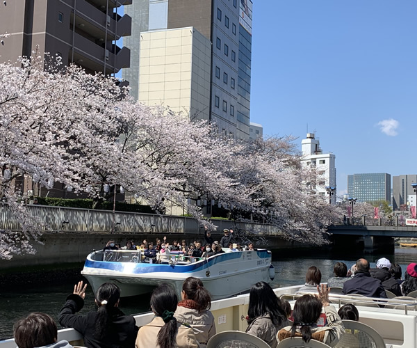 サンプルイメージ